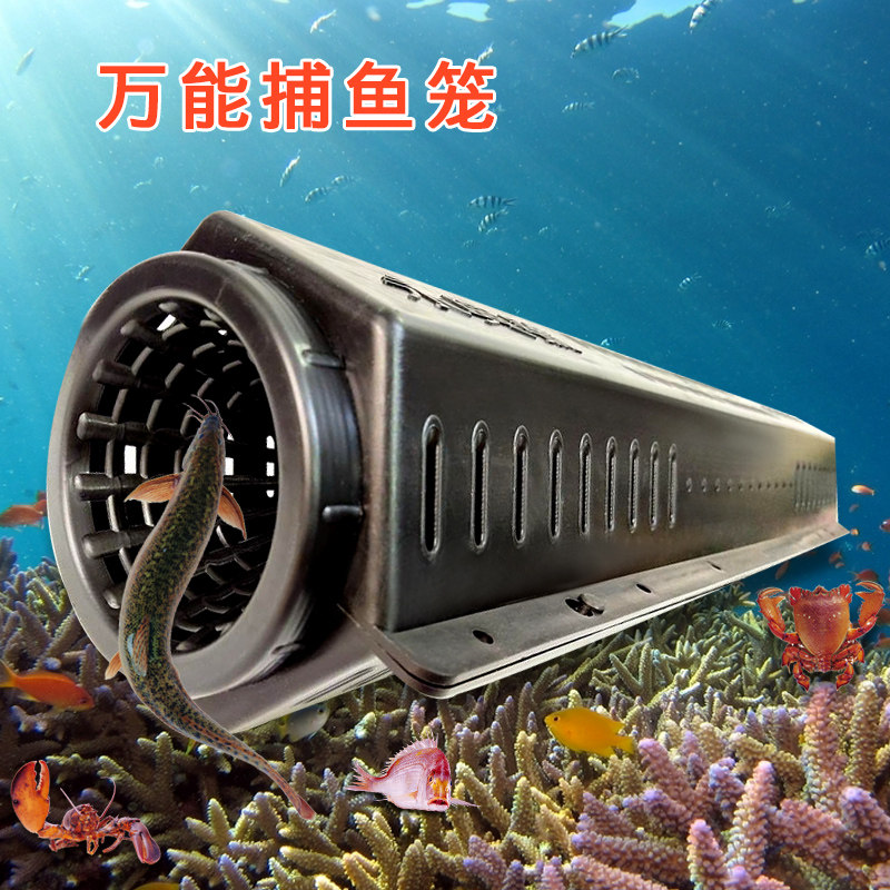 鳗鱼笼可拆海江湖河螃蟹章鱼黄鳝鱼笼1厘米加大倒须塑料77厘米长