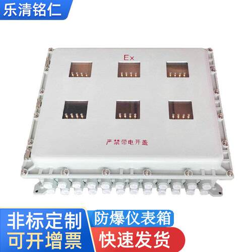 防爆仪表箱*防爆温控仪防爆PH计防爆接线开关控制箱配电柜