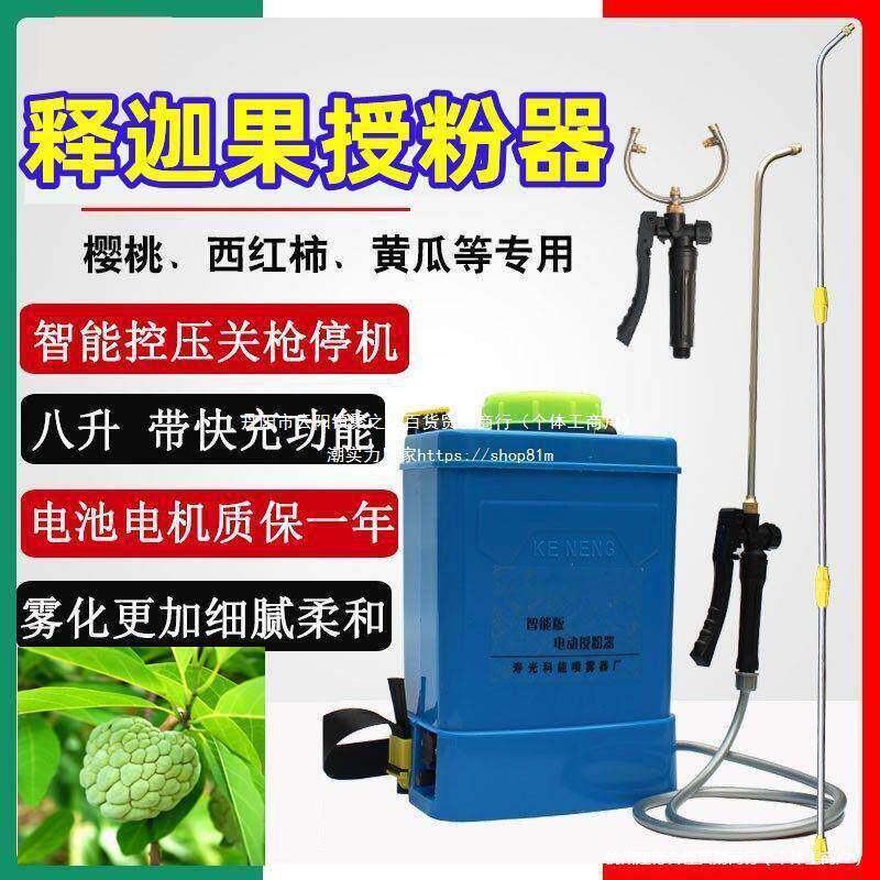 释迦果授粉器罗汉果点花手动花粉授粉器猕猴桃番茄喷花器沾花图片