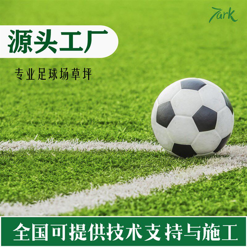 速发足球场草坪暑期特惠免填充运动人工草皮人造草坪pe地毯学校施