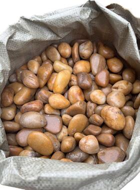 公园装饰用黄色鹅卵石水洗石雨花石园林景观水磨园林景观石