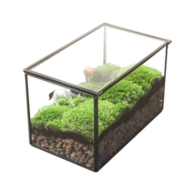 生态瓶青苔微景观盒子玻璃房盆景苔藓微缩森林缸桌面花盆摆件长方,家居饰品,花盆,淘宝优惠券,粉丝福利购,淘宝优惠卷