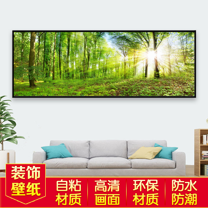 装饰画壁纸墙壁画纸自粘客厅卧室办公室背景墙沙发床头画