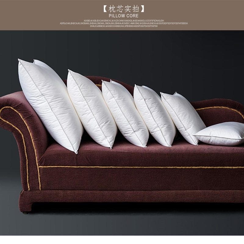 鹅毛羽绒抱枕内胆 方形羽毛靠枕酒店沙发腰靠背靠垫,居家布艺,靠垫/抱枕,淘宝优惠券,粉丝福利购,淘宝优惠卷