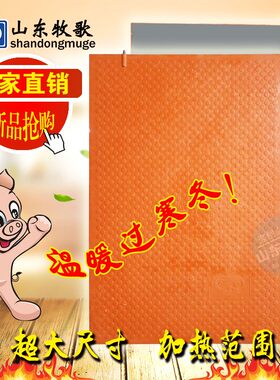 保温箱仔猪电加热板 母猪产床小猪模压电热板毯垫 韩国碳纤维