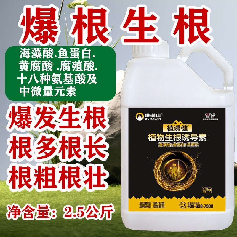 果树生根壮苗水溶肥强力生根液果树移栽卉扦插生根剂营养液
