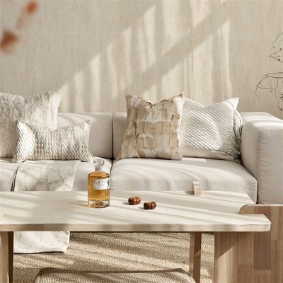 echo回声中古法式奶油风米白卡其咖沙发长腰枕靠垫样板间床上抱枕