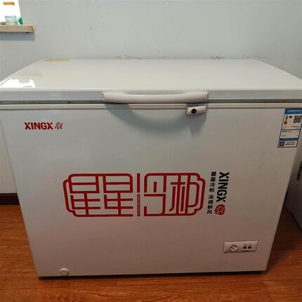 出一台自用星星冷柜 BD/BC-219E 变温冷冻冷藏箱 1