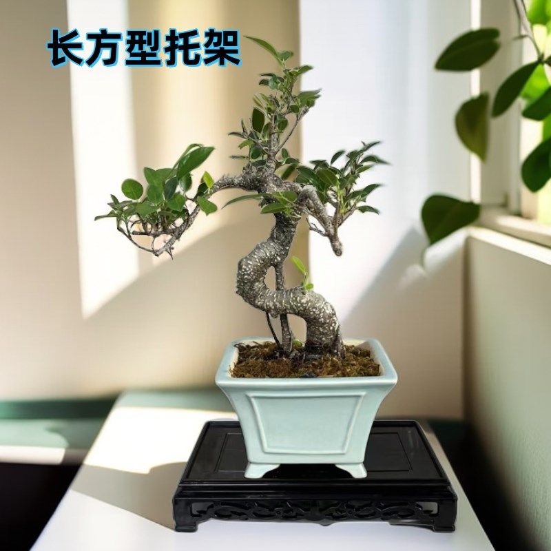 长方形托盘花盆底座绿植盆景摆件底座中式阳台室内塑料花瓶托盘,鲜花速递/花卉仿真/绿植园艺,花架,淘宝优惠券,粉丝福利购,淘宝优惠卷