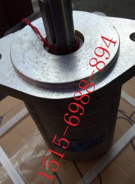 。SAIYUAN合肥赛源齿轮油泵马达CMF-E545-AFPS齿轮油泵马达CMF-F5