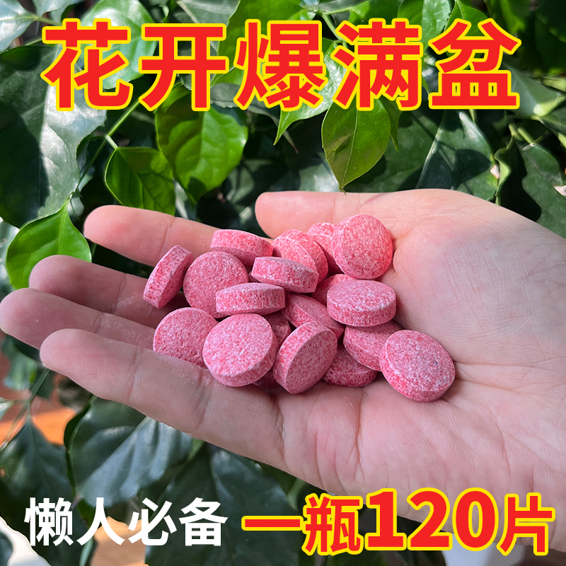 中古植物营养片三角梅开花专用肥家用花促爆冒花素养花肥料盆栽肥