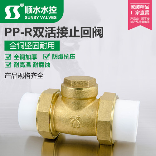 双热熔活接单向卧式逆止PPR黄铜止回阀自来水管4分6分1寸20 25 32