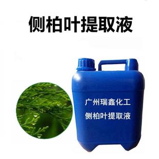 新款直销国产 侧柏叶提取液 侧柏叶萃取液 1KG起订