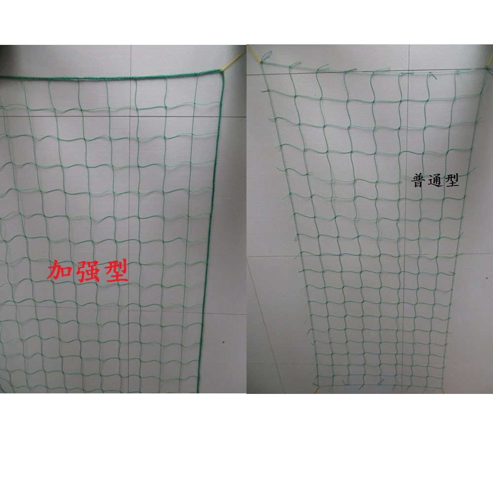 新款直销爬藤网加粗加强锁边格子网月季牵牛花黄瓜果攀爬种植园艺