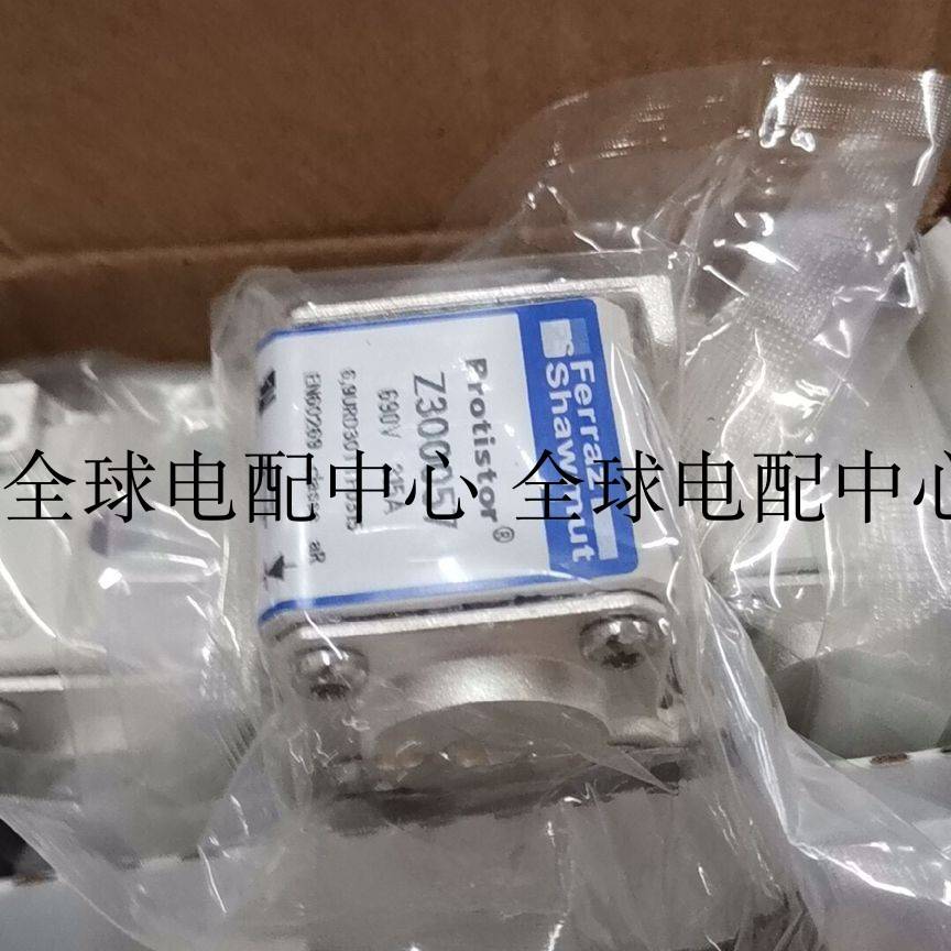 议价Y300056C PC30UD69V250TF 6，9 URD 30 TTF 025 FERRAZ熔