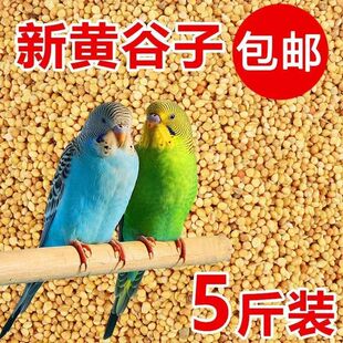 带壳黄谷子小鸟粮食带皮小米小黄米通用玄凤鸟食批发饲料鹦鹉跨境