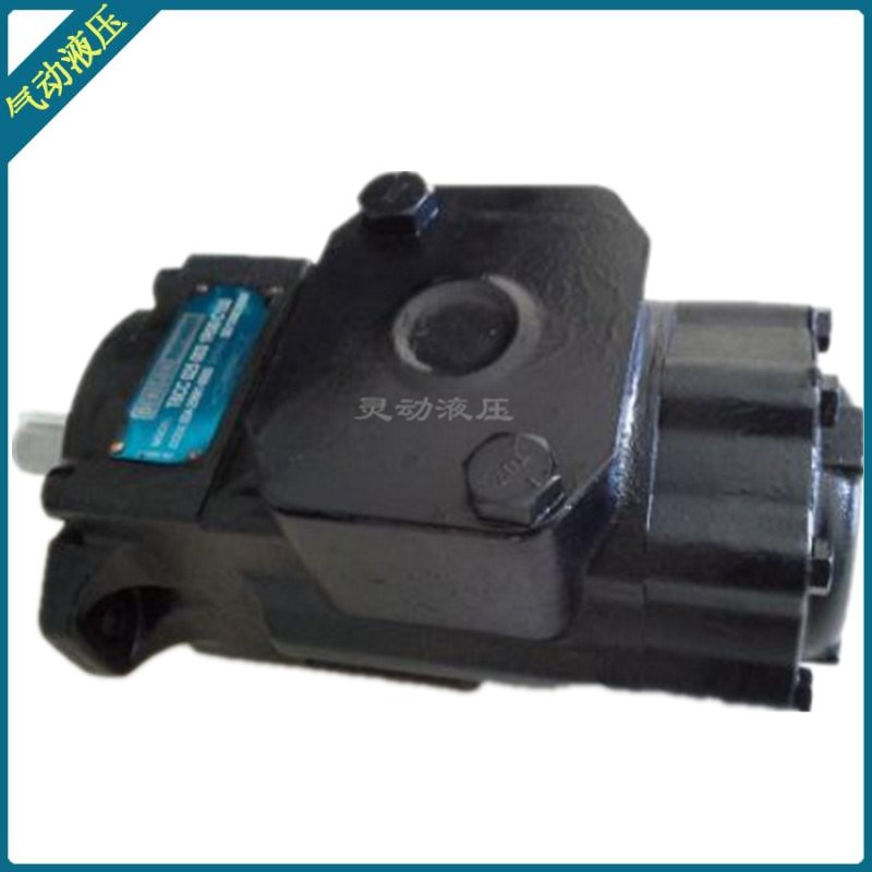 预压泵头 T6EC-052-025-IR02-B1 丹尼逊液压泵-DENISONR质保一年