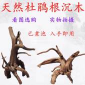 水草 已煮泡 爬虫寄居蟹造景莫斯水陆鱼缸微观雨淋 沉木 杜鹃根