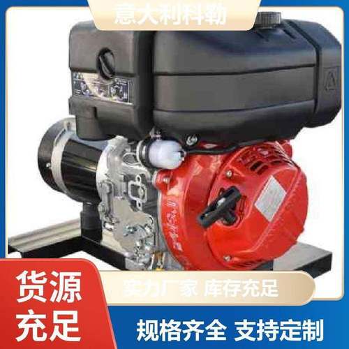 工业 12LD477 硬齿轮面 喷油泵 KOHLER发动机 货期短 意大利科勒