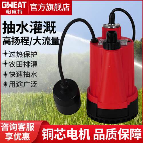 格威特家用园艺潜水泵220V喷泉抽水泵排水泵排养殖灌溉浇水清水泵