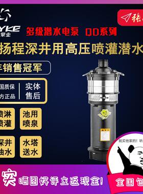 【奥冠迪】飞克Q15-40/4-3Y不锈钢深井泵抽水泵多级潜水泵大头3Kw