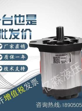 意大利进口赛特玛SETTIMA螺杆泵G47C050FSBT130D花键平键齿轮油泵