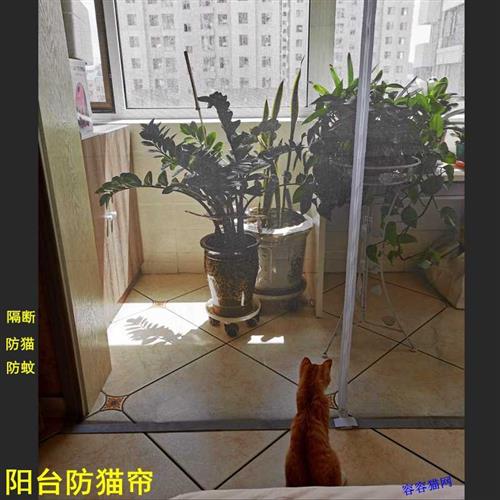 速发软纱门防猫网防逃台养猫隔断窗拉门拉炼挡猫门栏网纱