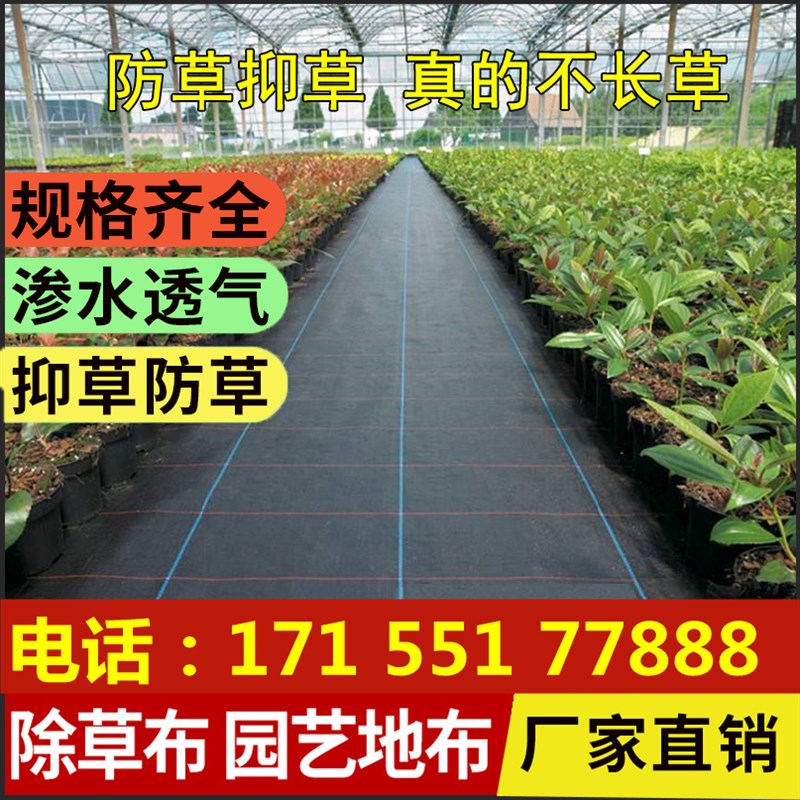 速发防草布果园抗老化园艺地布果树透水遮草盖草布透气大棚除草布