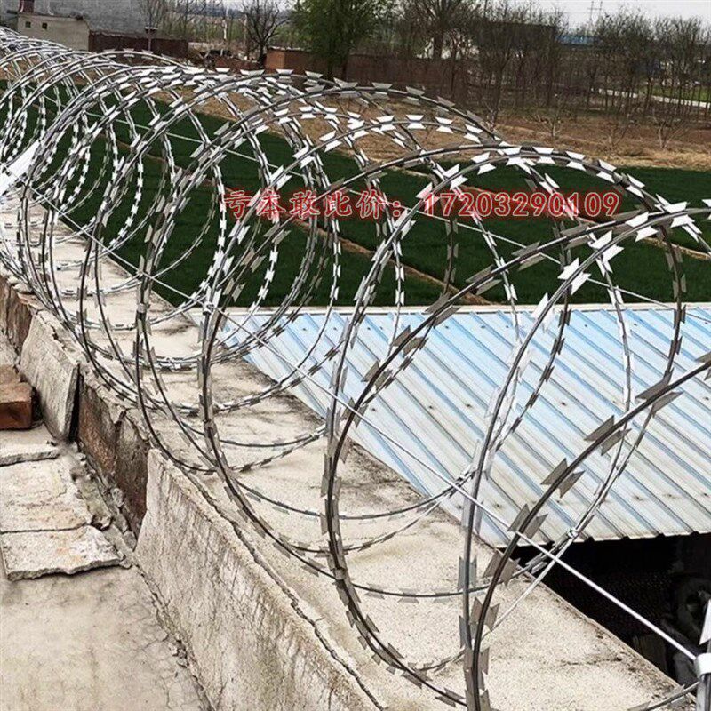 速发不防钢刀片刺绳防护网刺丝铁笼刺网带刺滚丝防盗锈爬刺围墙防