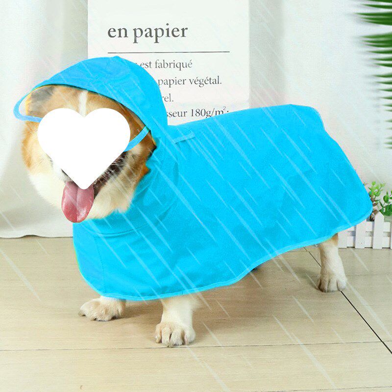 速发雨衣小型犬脚品泰迪衣基防水狗柯服中型四用全包肚兜包邮
