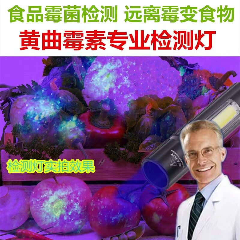 厂家直销黄曲霉素检测紫光灯照霉菌手电荧光剂检测紫外线防伪验钞