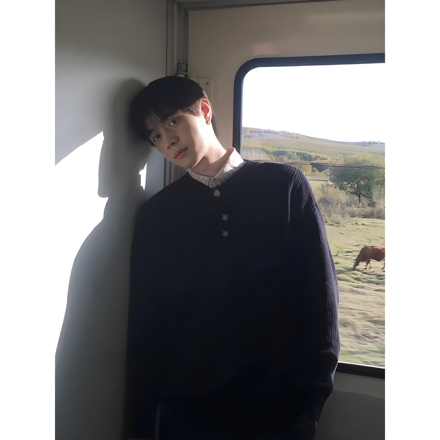 黑色美式亨利领毛衣男款秋冬