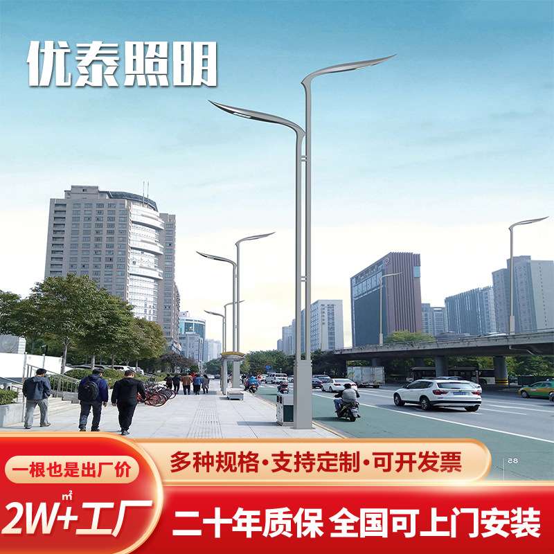 翔翼路灯户外防水led路灯 厂家直销6米8米10米12米市电路灯