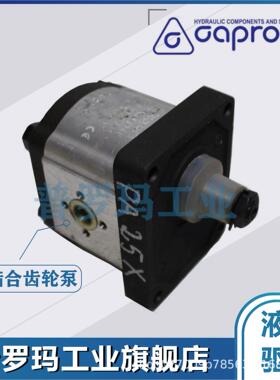 卡普罗尼Caproni齿轮泵20A(C)4.5/8.2/11.3/15/19/25Y006 液压泵