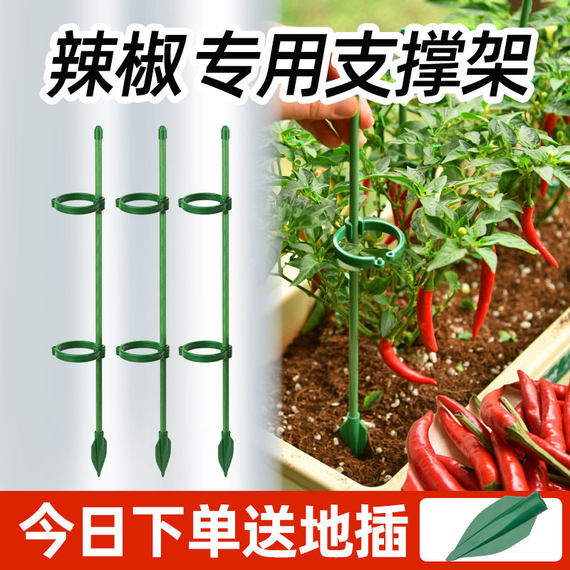 辣椒茄子番西红柿专用支撑图片