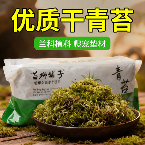 干苔藓蝴蝶兰水苔兰花专用植料爬宠乌龟冬眠青苔石斛铺面保湿透气