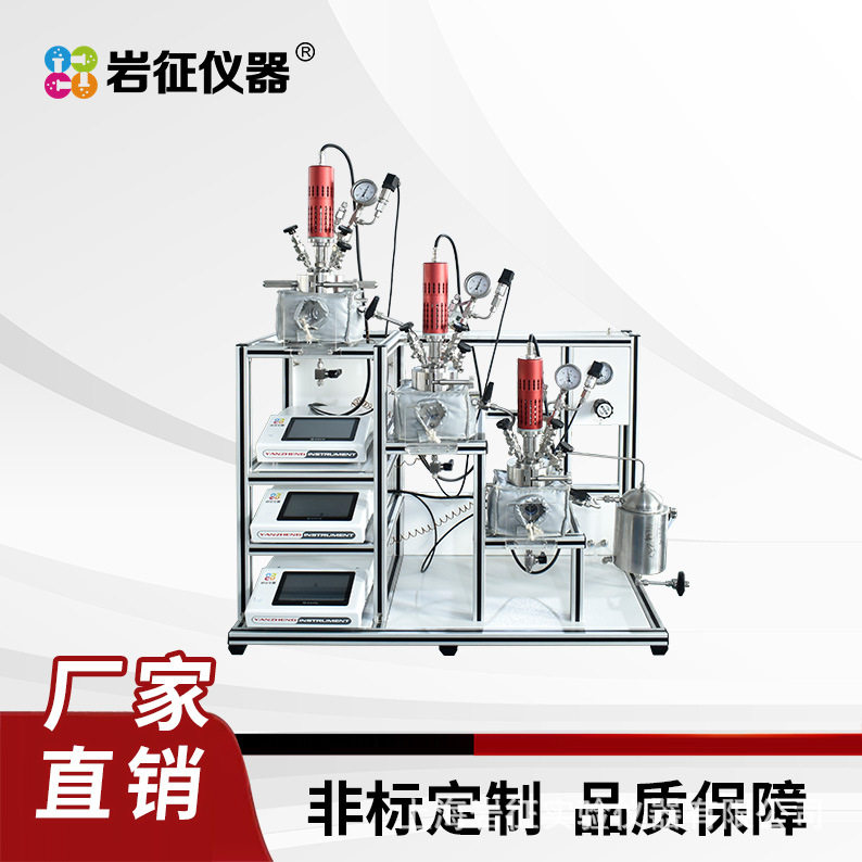 岩征仪器 三釜溢流CSTR 反应器厂家 厂家直销