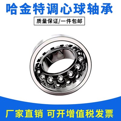 哈金特轴承1300 1301 1302 1303 1304 1305 1306 1307 1308 1309