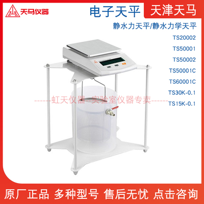 天津天马 TS20002/50001/600102C/TS30K-0.1/TS15K-0.1静水力天平