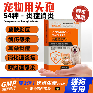 宠物头孢羟氨苄片狗狗猫咪消炎药专用尿路感染皮肤病犬外伤中耳炎