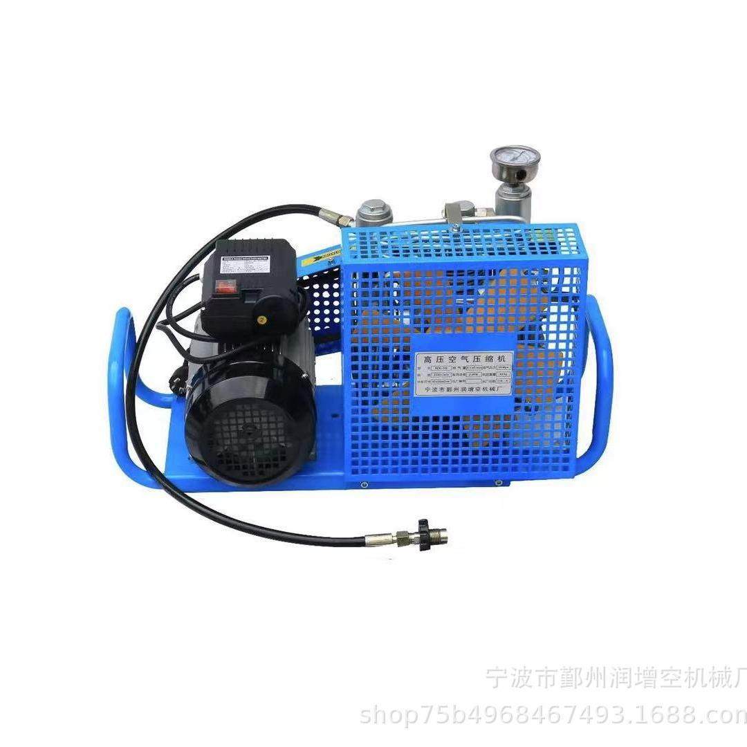 便携式高压潜水消防呼吸气瓶空气填充泵打气机20-30Mpa,机械设备,压缩机,淘宝优惠券,粉丝福利购,淘宝优惠卷