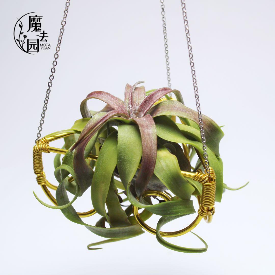 空气凤梨三角架 办公室霸王个性手工花架 铝线 线挂架 金属创意垂