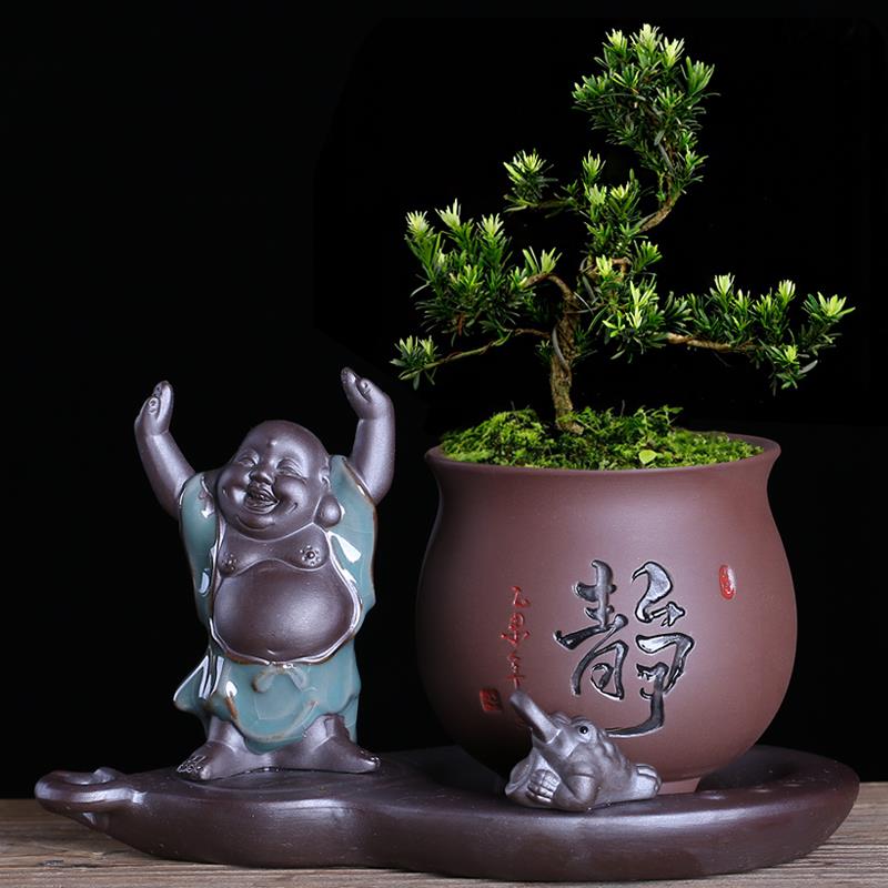 多肉花盆创意个性陶瓷紫砂透气微景观盆古典桌面榕树花器文竹盆栽