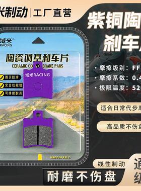 极核AE4MaxMY25 AE4Pro AE4SE AE4 AE4iPro 前后煞车片碟煞皮配件