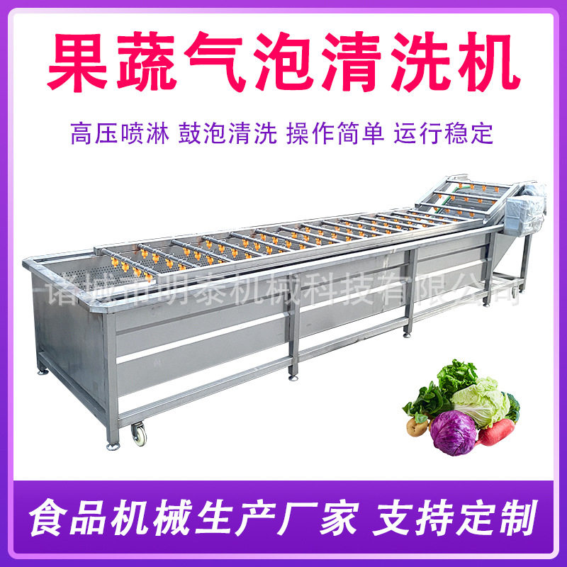 黄桃沃柑果蔬气泡清洗机 白菜油菜大型洗菜机 全自动净菜加工设备