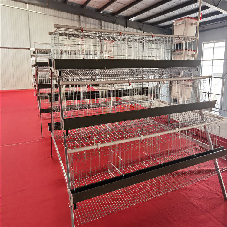 家用鸡养殖笼 连排鸡笼网铁丝网鸡笼批发组装鸡笼 可拆卸