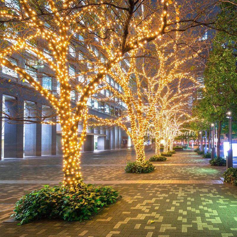 led小灯串挂在树上的彩灯闪灯太阳能灯满天星圣诞节亮化缠绕树灯