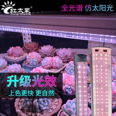 红太氧全光谱多肉补光灯仿太阳室内家用绿植上色灯植物光照生长灯