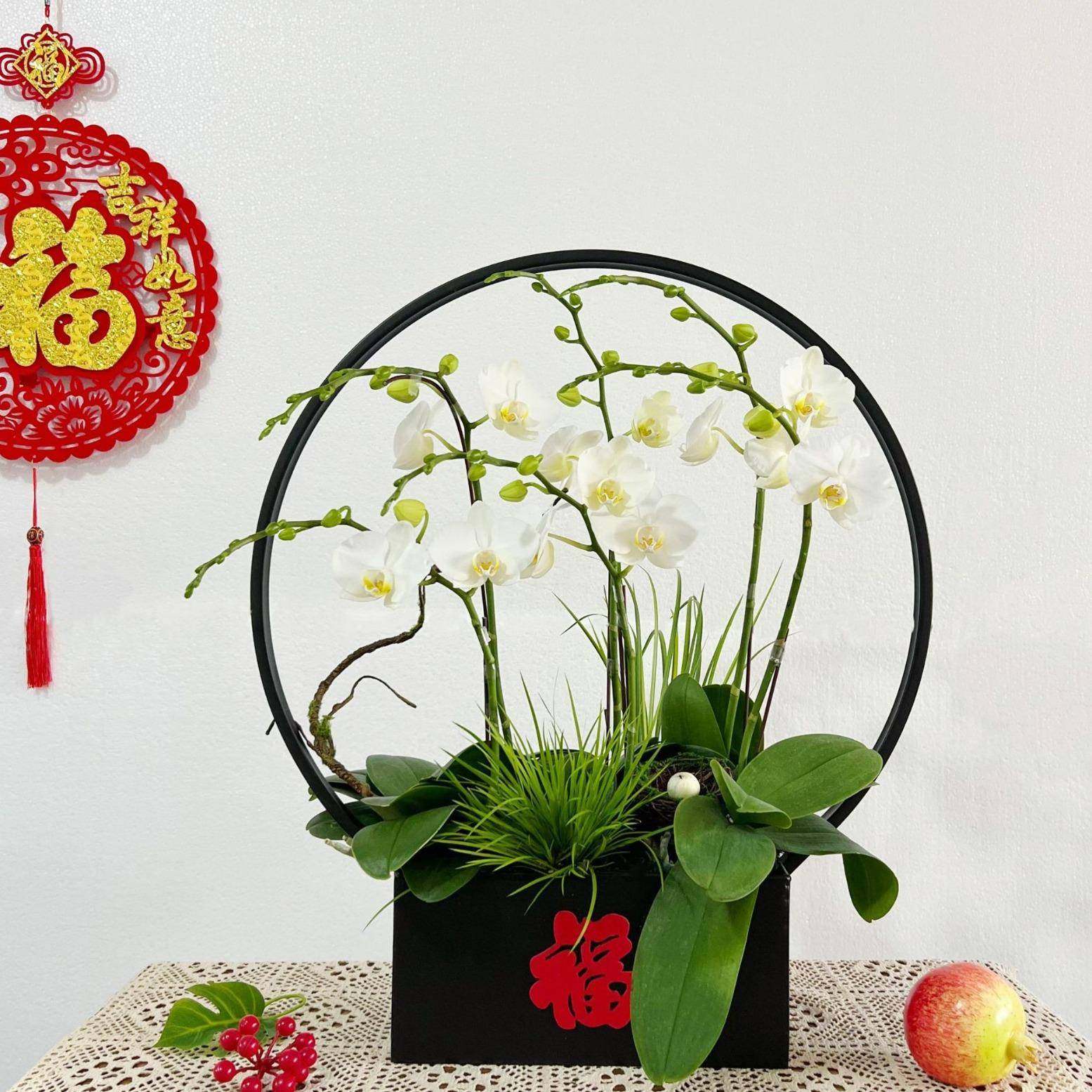 新中式蝴蝶兰花盆冬青年宵花插花器花篮金属福桶桌面玄关摆件