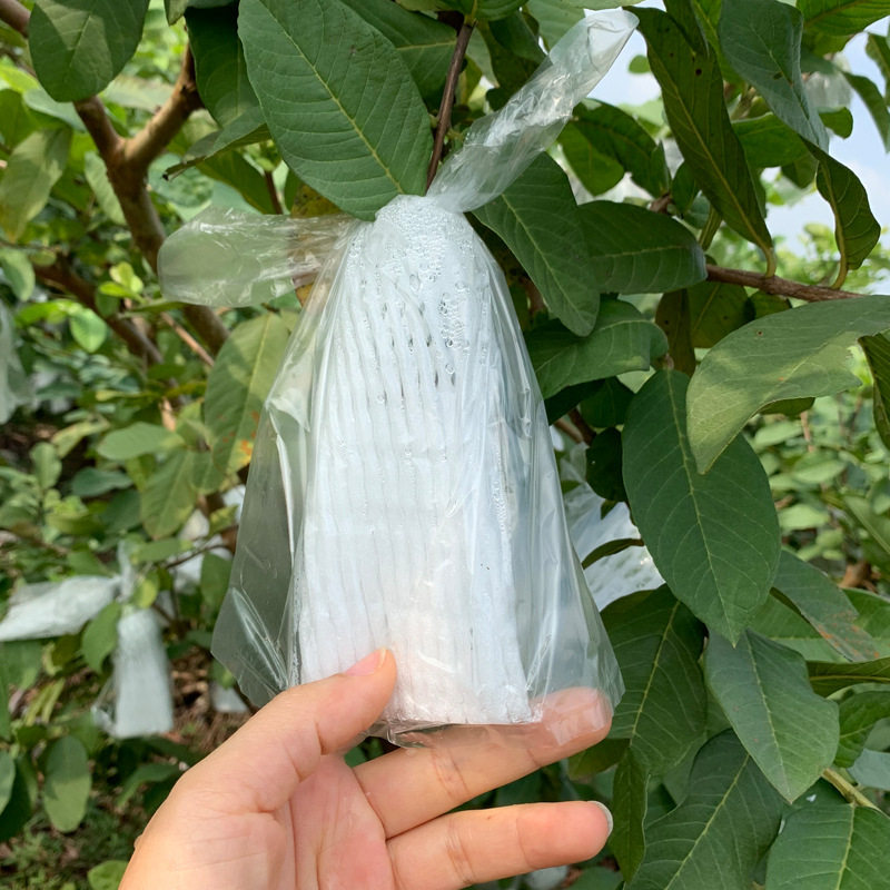 工厂包邮袋防虫防鸟保护芭乐网套袋套泡沫包装袋番石榴一体袋